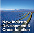 New Industry Development & Cross-function