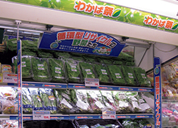 Space dedicated to vegetables produced through the recycling scheme