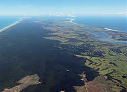 36,000 hectares of forest the Company owns in the Northland region on the northeastern tip of New Zealand