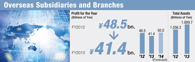 Overseas Subsidiaries and Branches