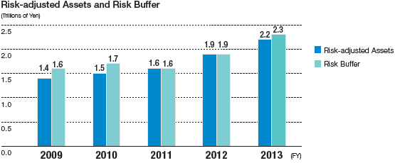 Risk-adjusted Assets and Risk Buffer